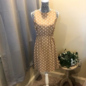 J. Crew Polkadot Dress